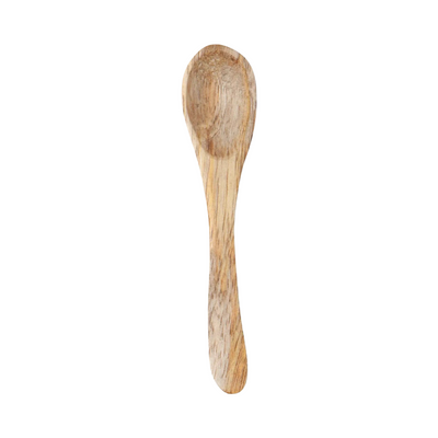single woooden spoon