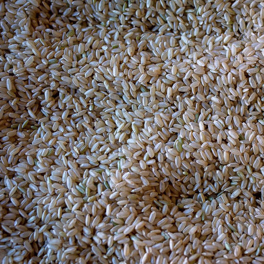 close up view of California brown rice