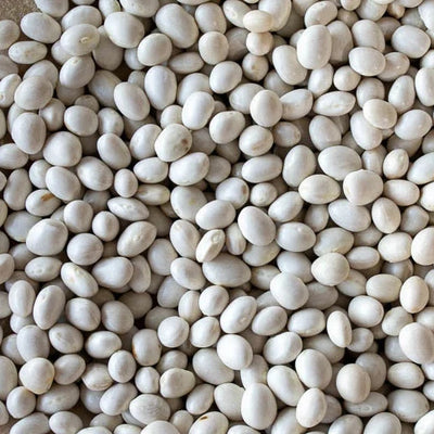 close up view of caballero beans