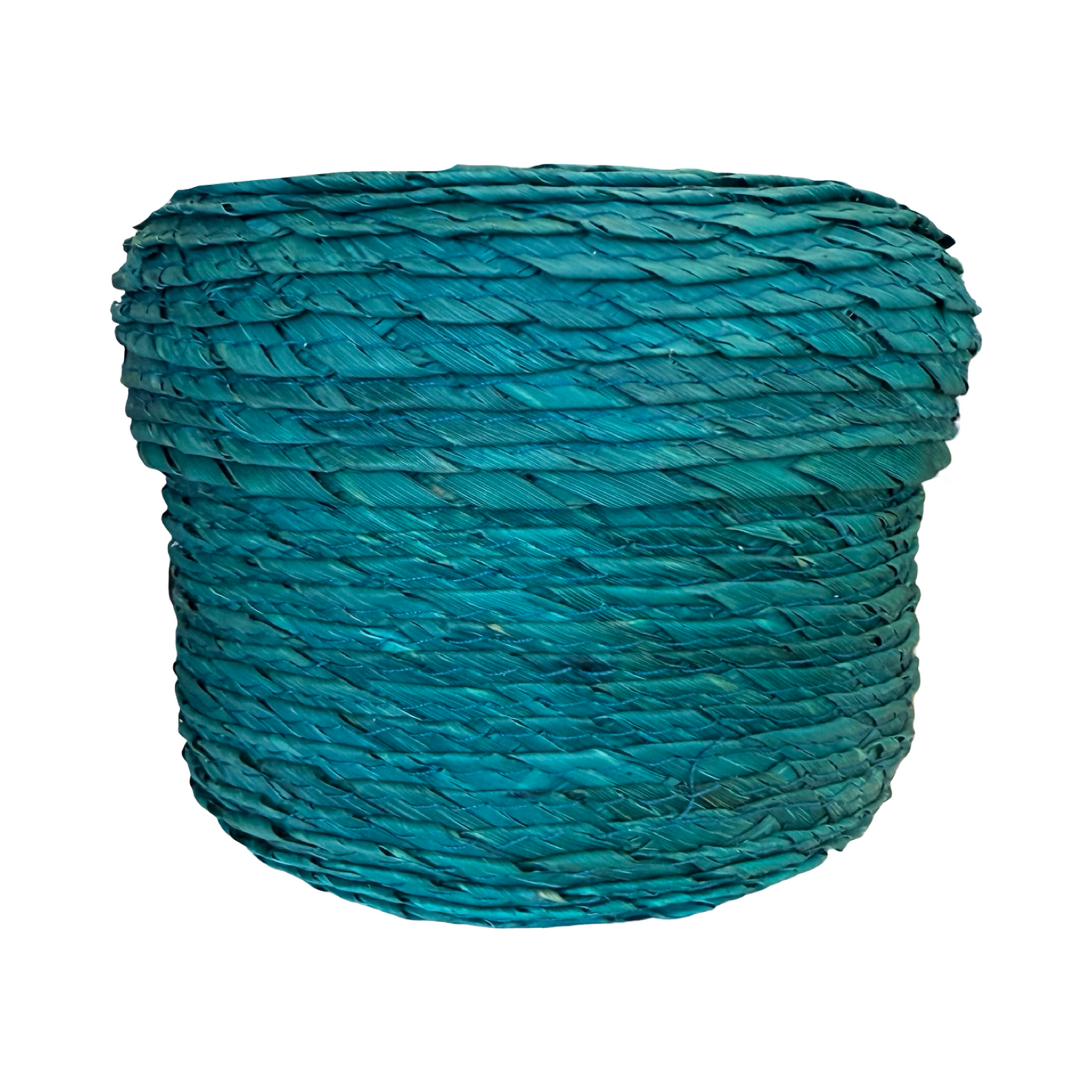 teal palm basket