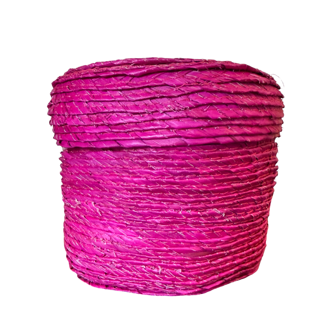 fuchsia palm basket