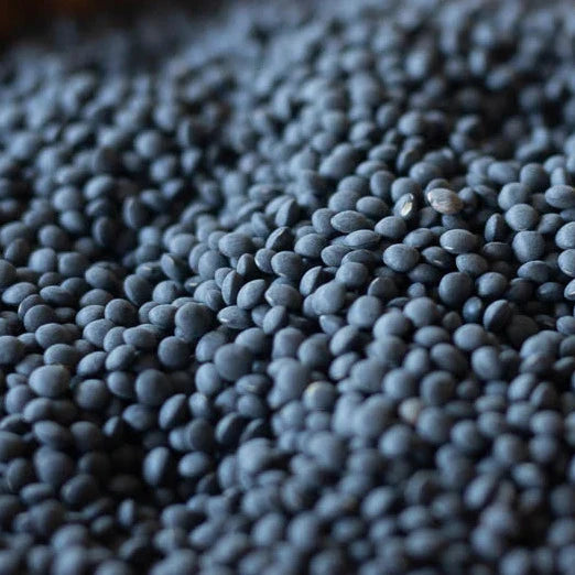 close up view of black caviar lentil