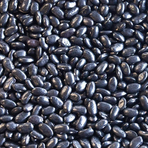 close up view of Chiapas Black beans