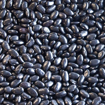 close up view of Chiapas Black beans