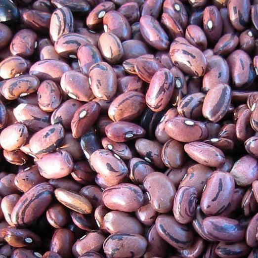 close up view of rio zape beans