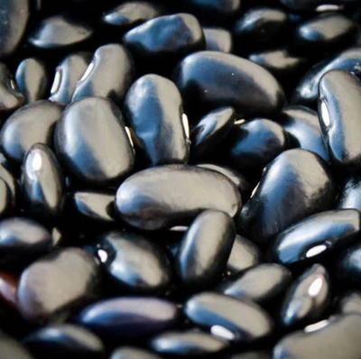 Close up of the Acoyote Negro, or balck, beans.