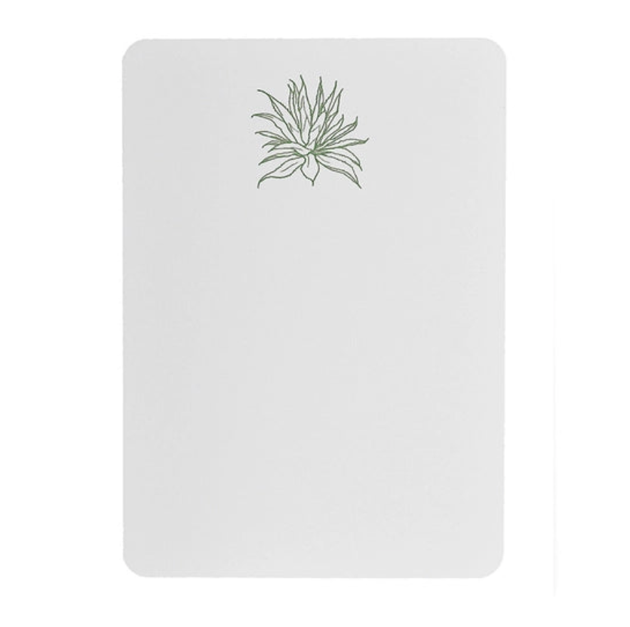Notecard features agave plant illustration at top center
