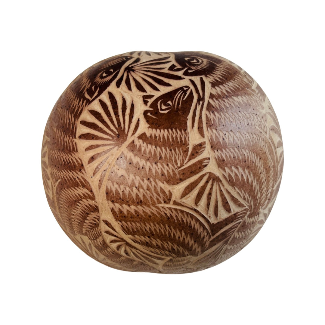 Bottom of a dried gourd engraved with various animals.